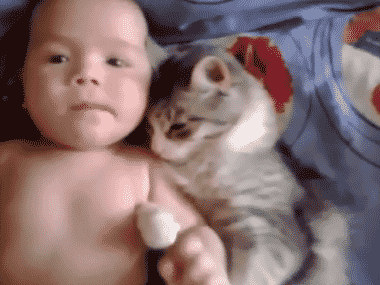 Cat and Baby Cuddle