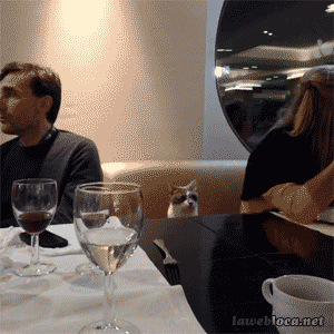 out-4-dinner.gif
