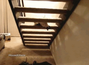 upside down stairs